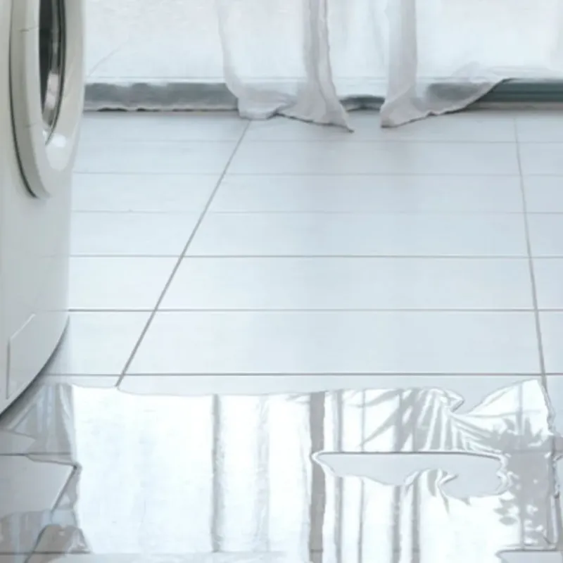 Appliance Leak Cleanup in Preston, IA