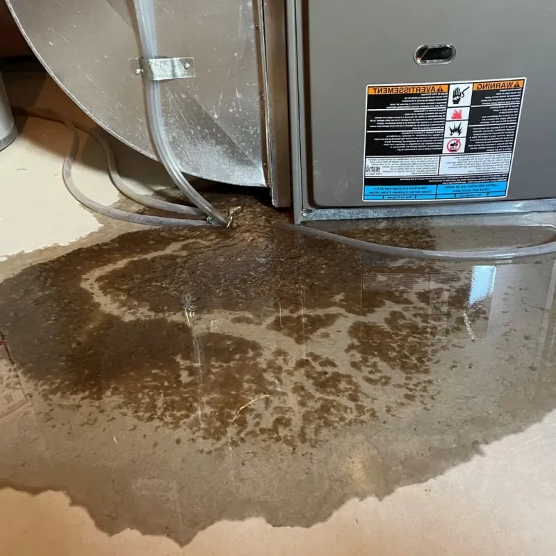 Pipe Burst and Leak Restoration in Preston, IA