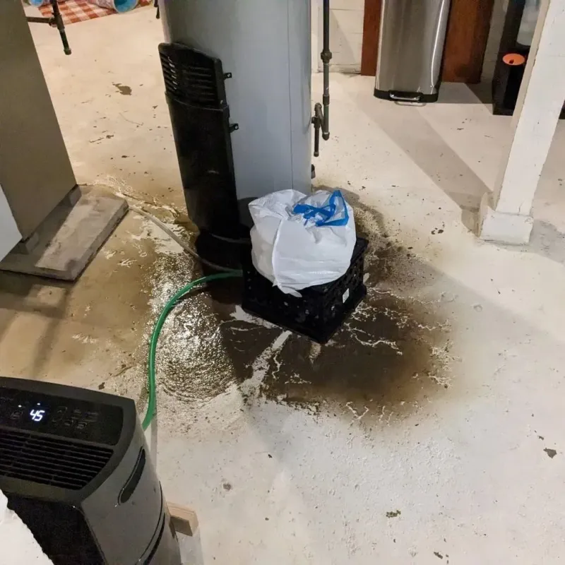 Sewage Backup Cleanup Service in Preston, IA